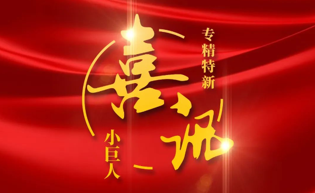 喜讯 | 捷报频传！太平洋在线医疗获评国家级专精特新“小巨人”企业公示